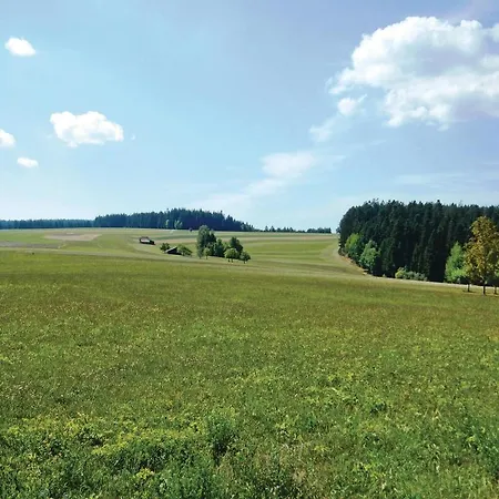 One-bedroom With Mountain View In Aichhalden-rotenberg Alpirsbach